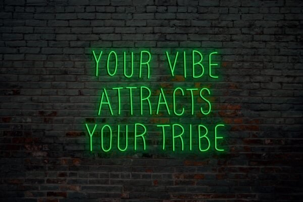 Your Vibe Attracts Your Tribe - Image 3