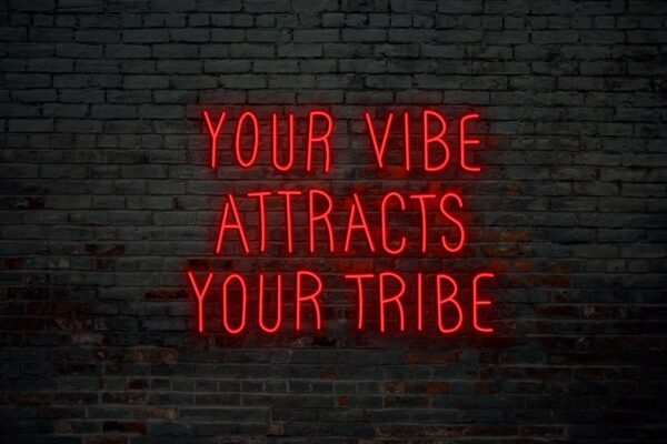 Your Vibe Attracts Your Tribe - Image 2