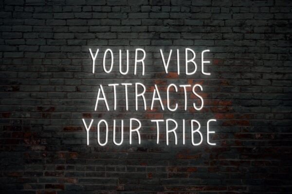 Your Vibe Attracts Your Tribe - Image 4