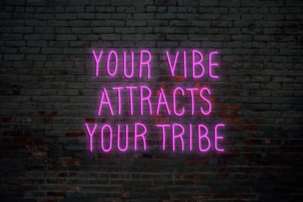 Your Vibe Attracts Your Tribe - Image 6