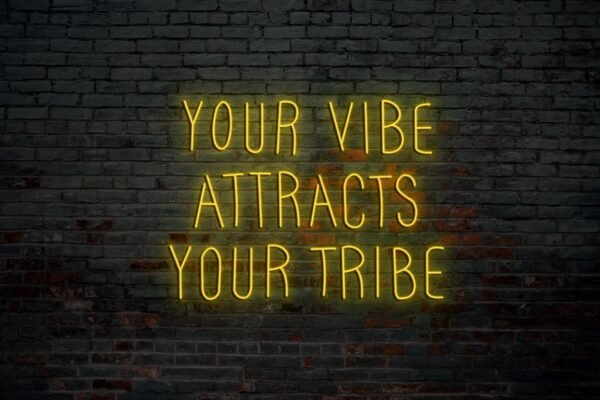 Your Vibe Attracts Your Tribe - Image 5