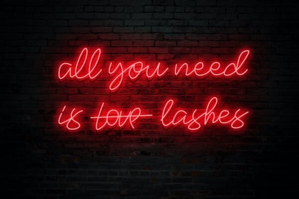 All You Need is Lashes - Image 9