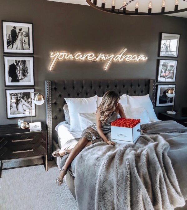 You Are My Dream: long-life, easy mount, super-bright neon wall light