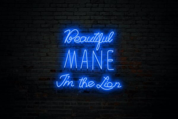 Beautiful MANE I'm the Lion - Image 2