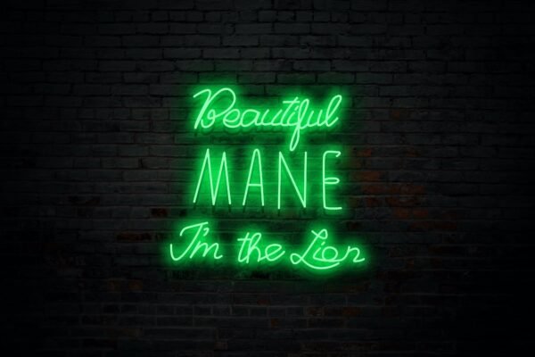 Beautiful MANE I'm the Lion - Image 6