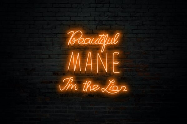 Beautiful MANE I'm the Lion - Image 5