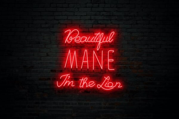 Beautiful MANE I'm the Lion - Image 4