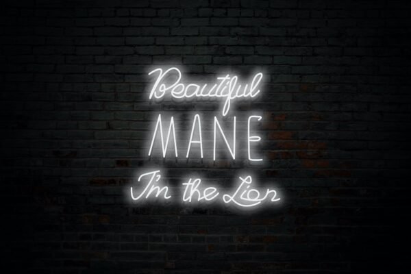 Beautiful MANE I'm the Lion - Image 9